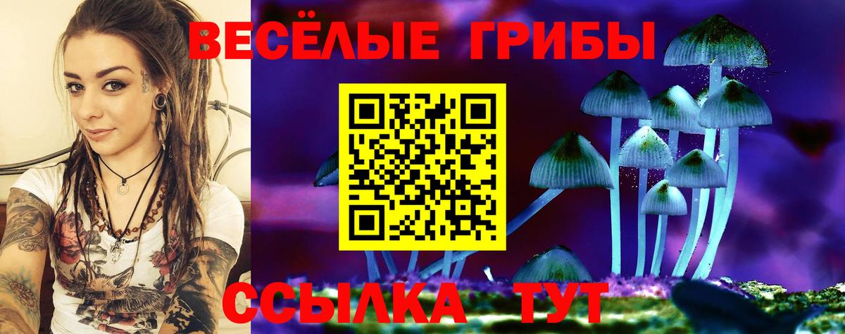 Кировск  Галлюциногенные грибы MAGIC MUSHROOMS  Вход с VPN 